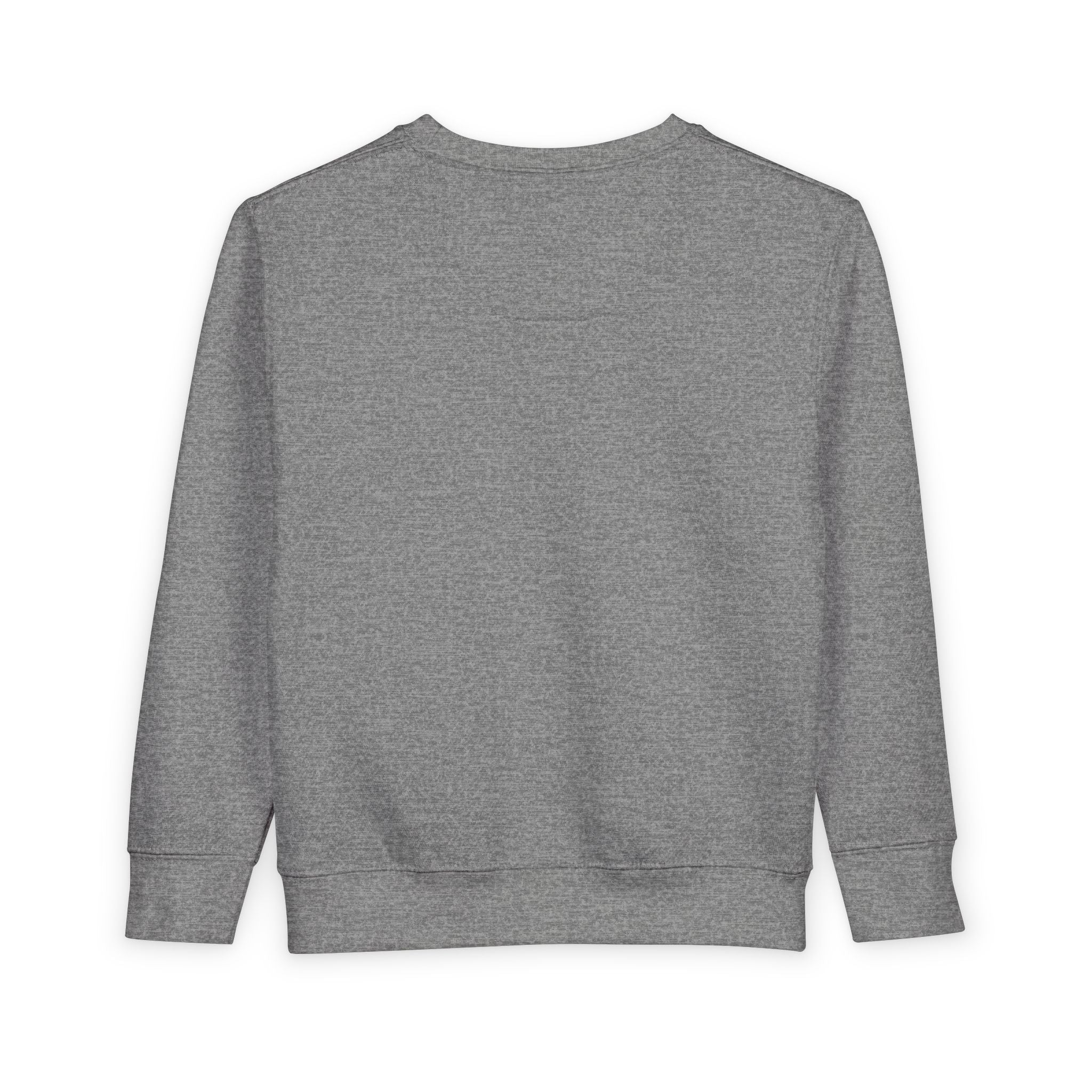 Toddler Sweatshirt - 'ANDLY' Retro Logo Kids Pullover, Cozy Neutral Crewneck