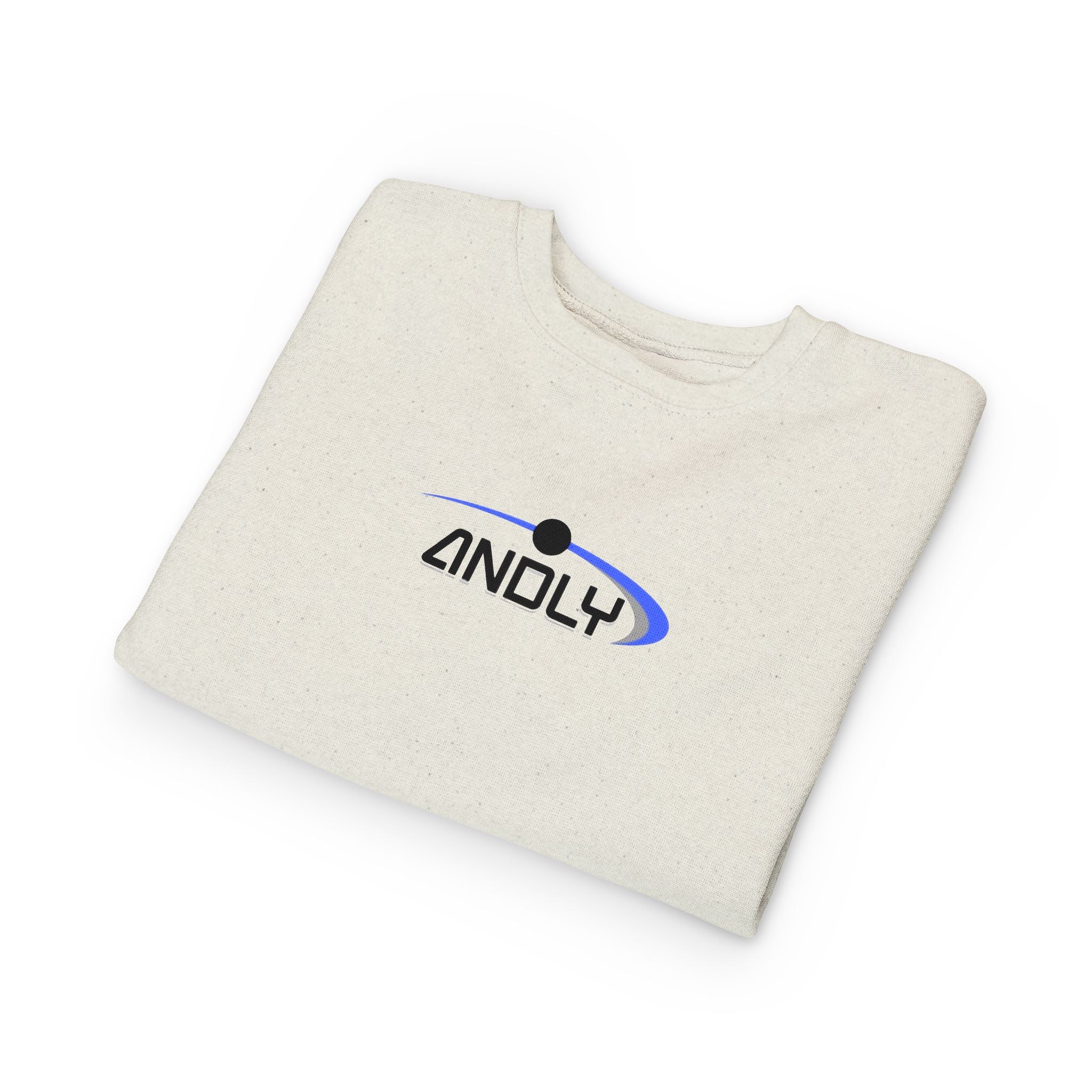 Toddler Sweatshirt - 'ANDLY' Retro Logo Kids Pullover, Cozy Neutral Crewneck