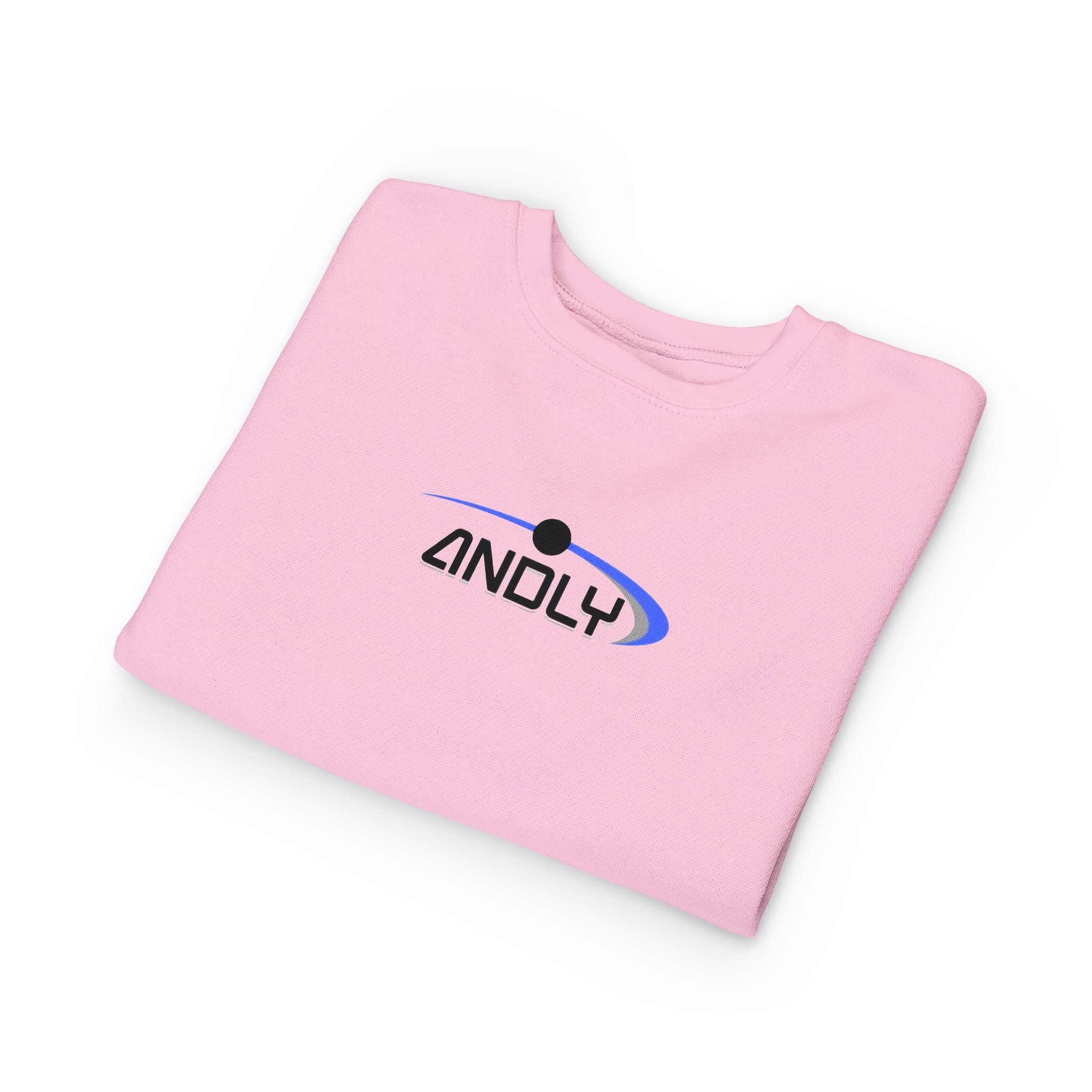 Toddler Sweatshirt - 'ANDLY' Retro Logo Kids Pullover, Cozy Neutral Crewneck