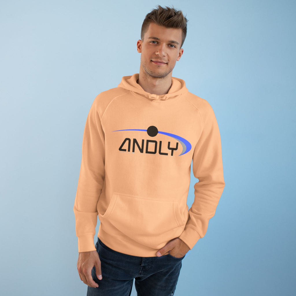 Logo Hoodie - Andly Branded Pullover