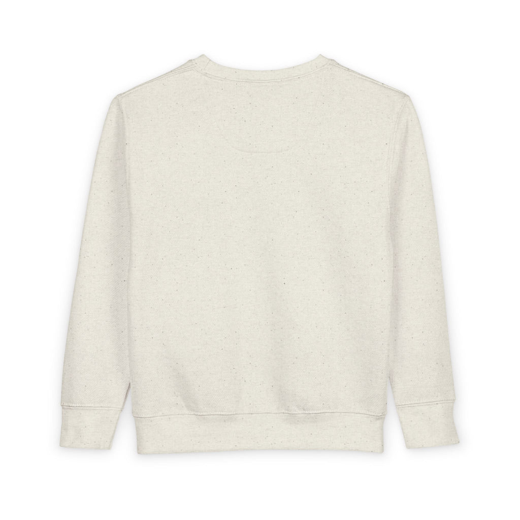 Toddler Sweatshirt - 'ANDLY' Retro Logo Kids Pullover, Cozy Neutral Crewneck