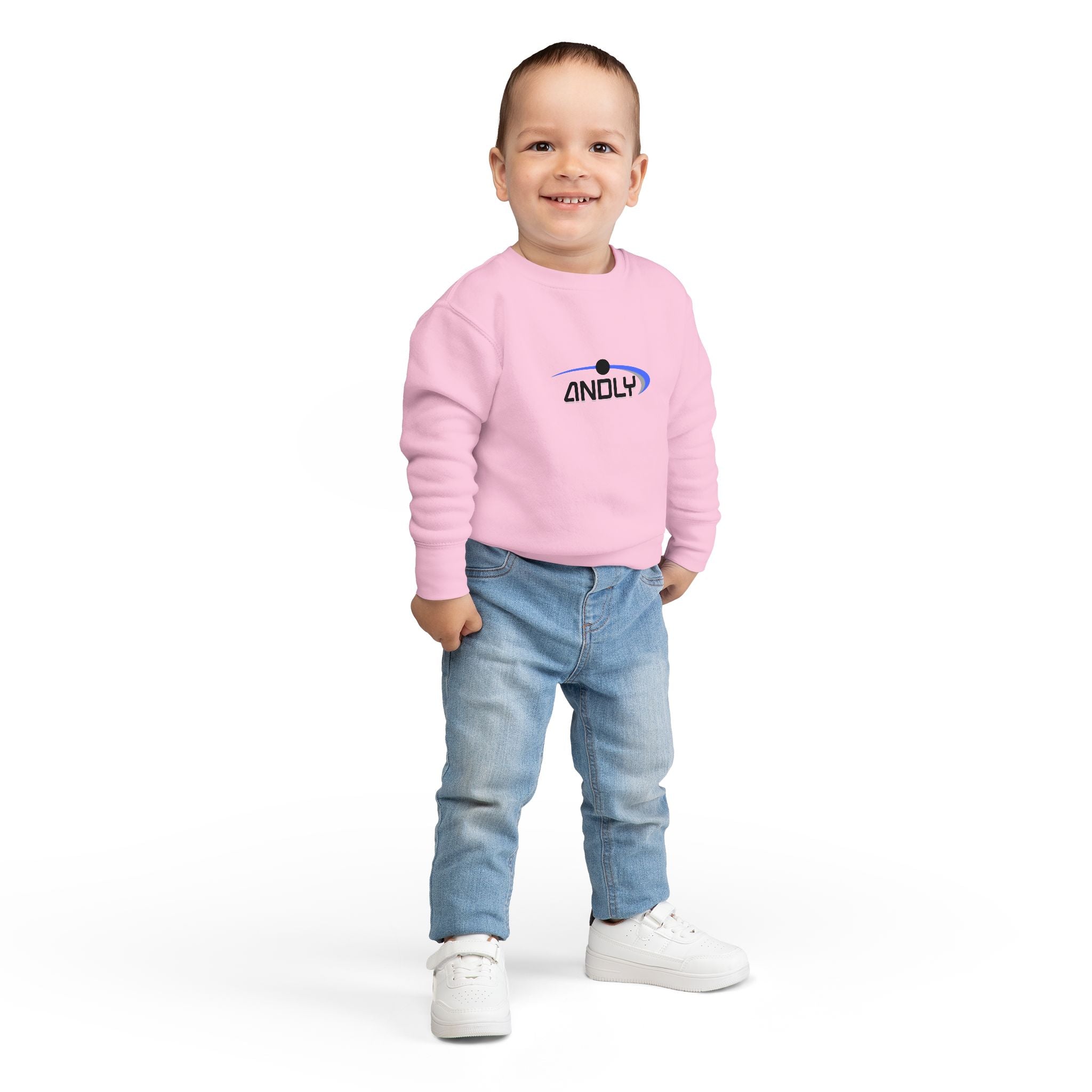 Toddler Sweatshirt - 'ANDLY' Retro Logo Kids Pullover, Cozy Neutral Crewneck
