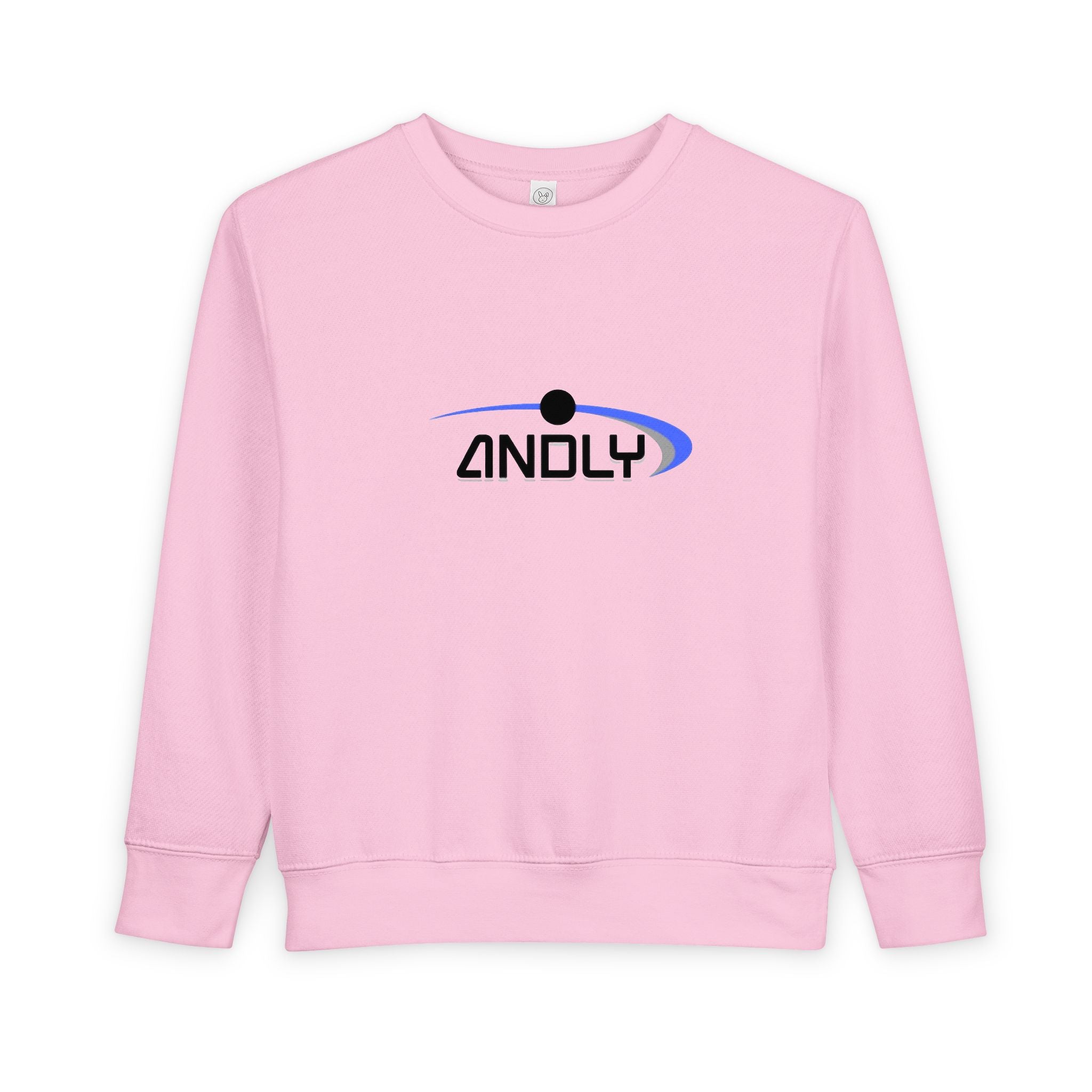 Toddler Sweatshirt - 'ANDLY' Retro Logo Kids Pullover, Cozy Neutral Crewneck