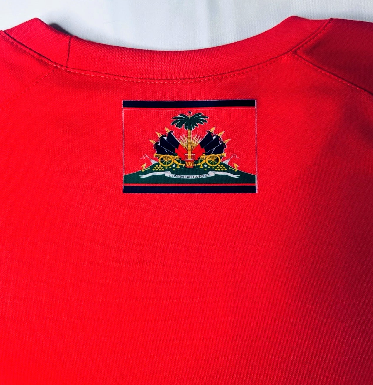 Haiti 26  Fan Performance T-Shirt – Depi Nou La Nou Kapab | ANDLY